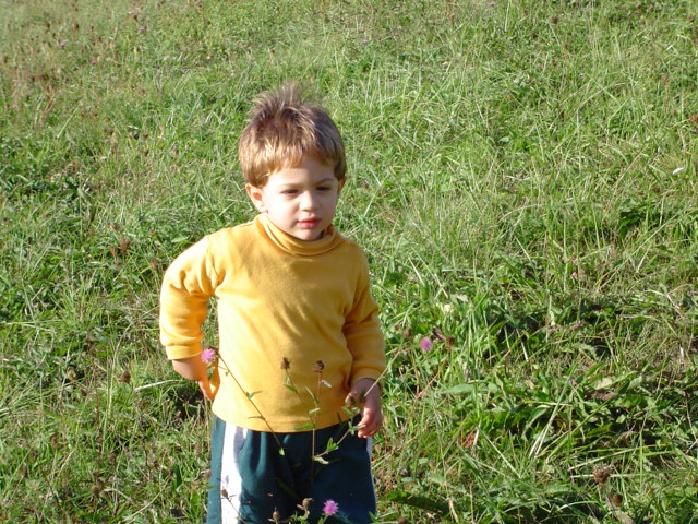 teo songeur